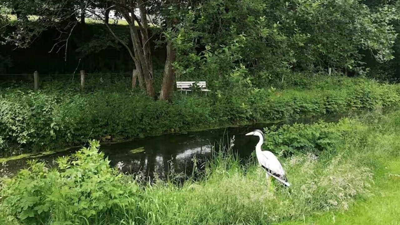 Photo of Others in La Houssiere
