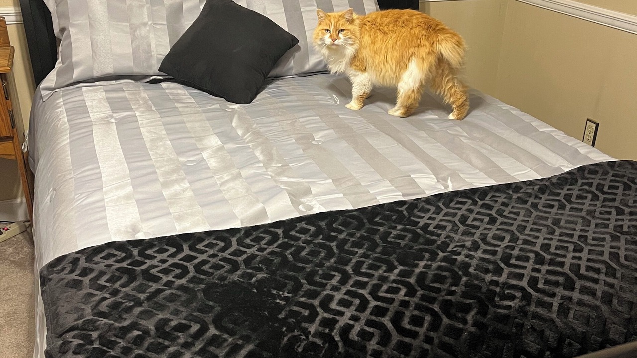 Photo of Bedroom in Centre