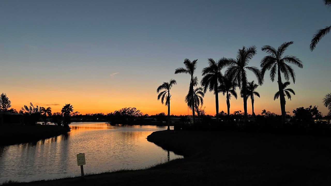 Photo of Others in Palmetto