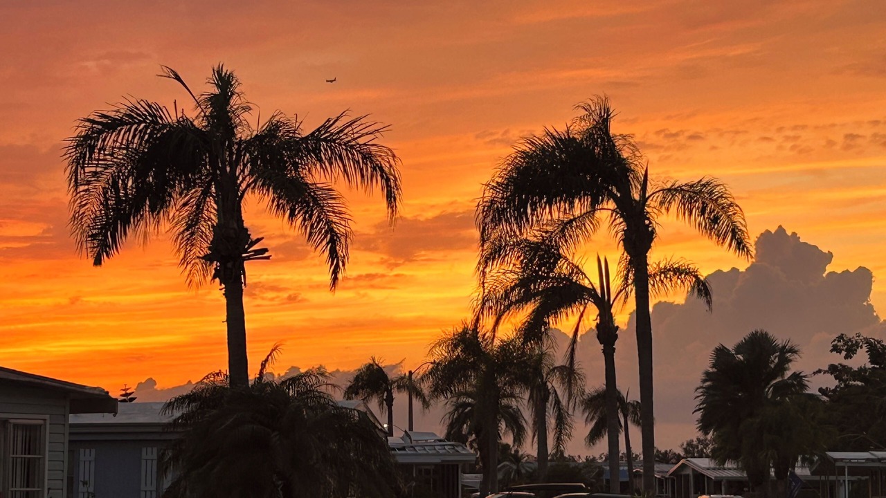 Photo of Others in Palmetto