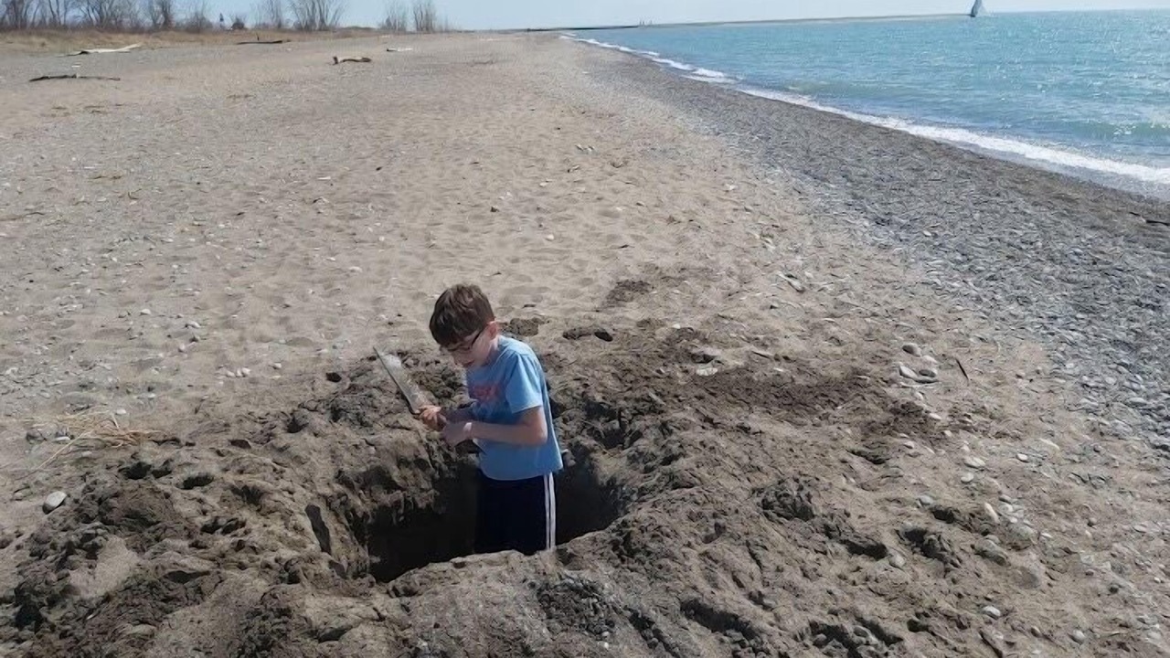 Photo of Others in Harwich