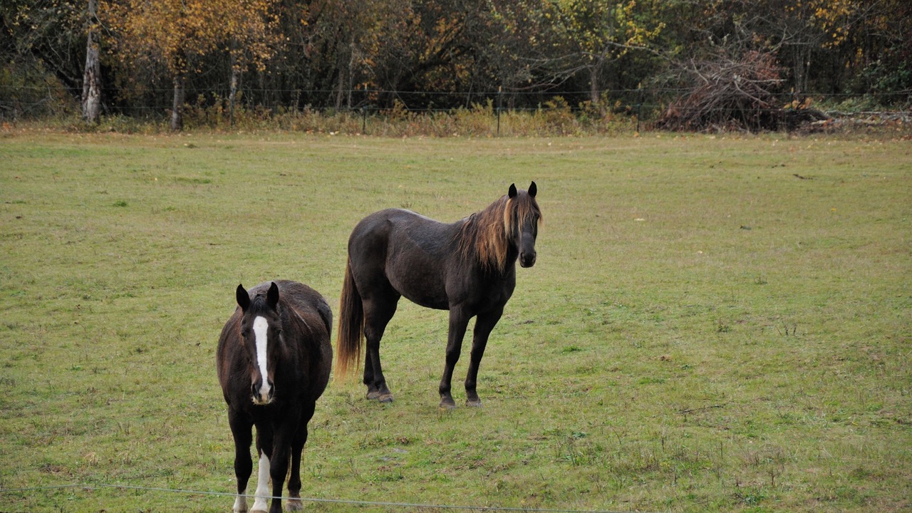 Photo of Others in Stevenson