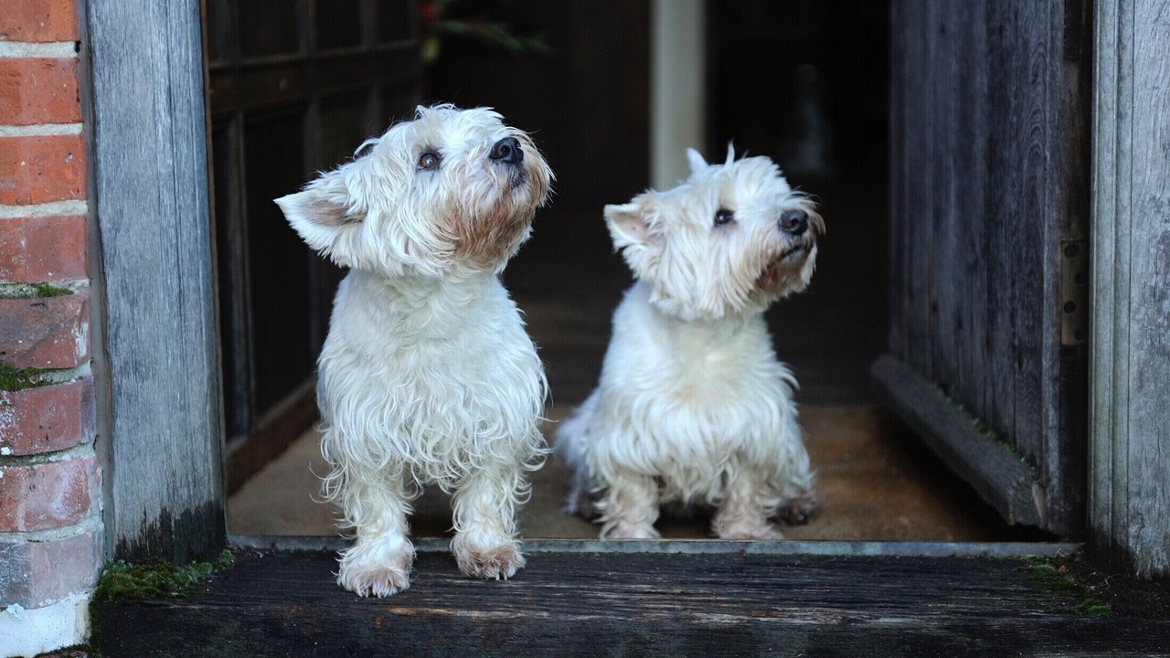 Photo of Outdoor in Stowmarket
