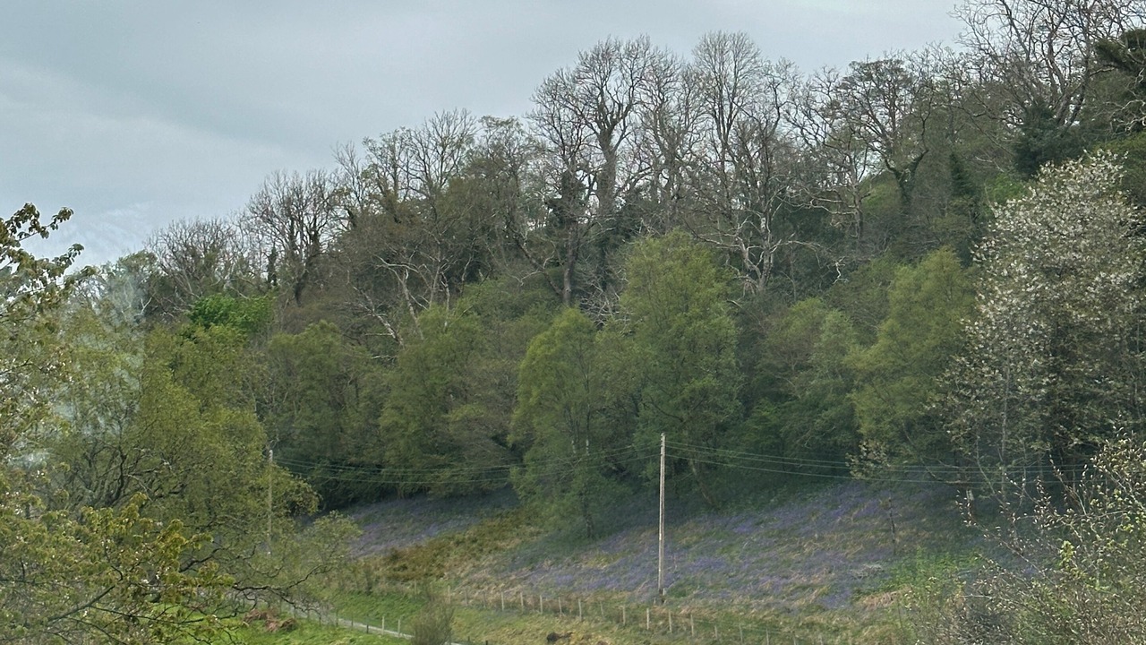 Photo of Others in West Laroch