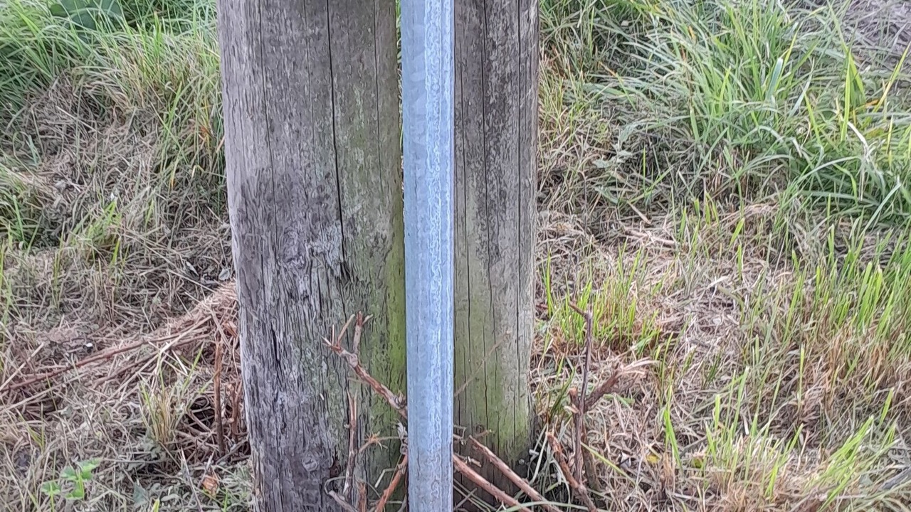 Photo of Others in Orbigny