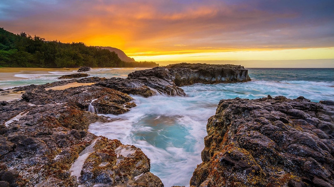 Photo of Others in Princeville