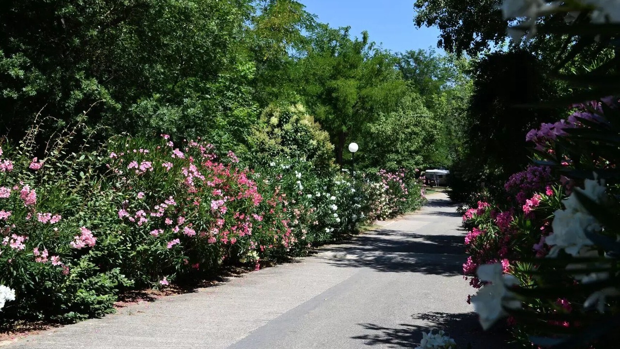 Photo of Outdoor in Goudargues