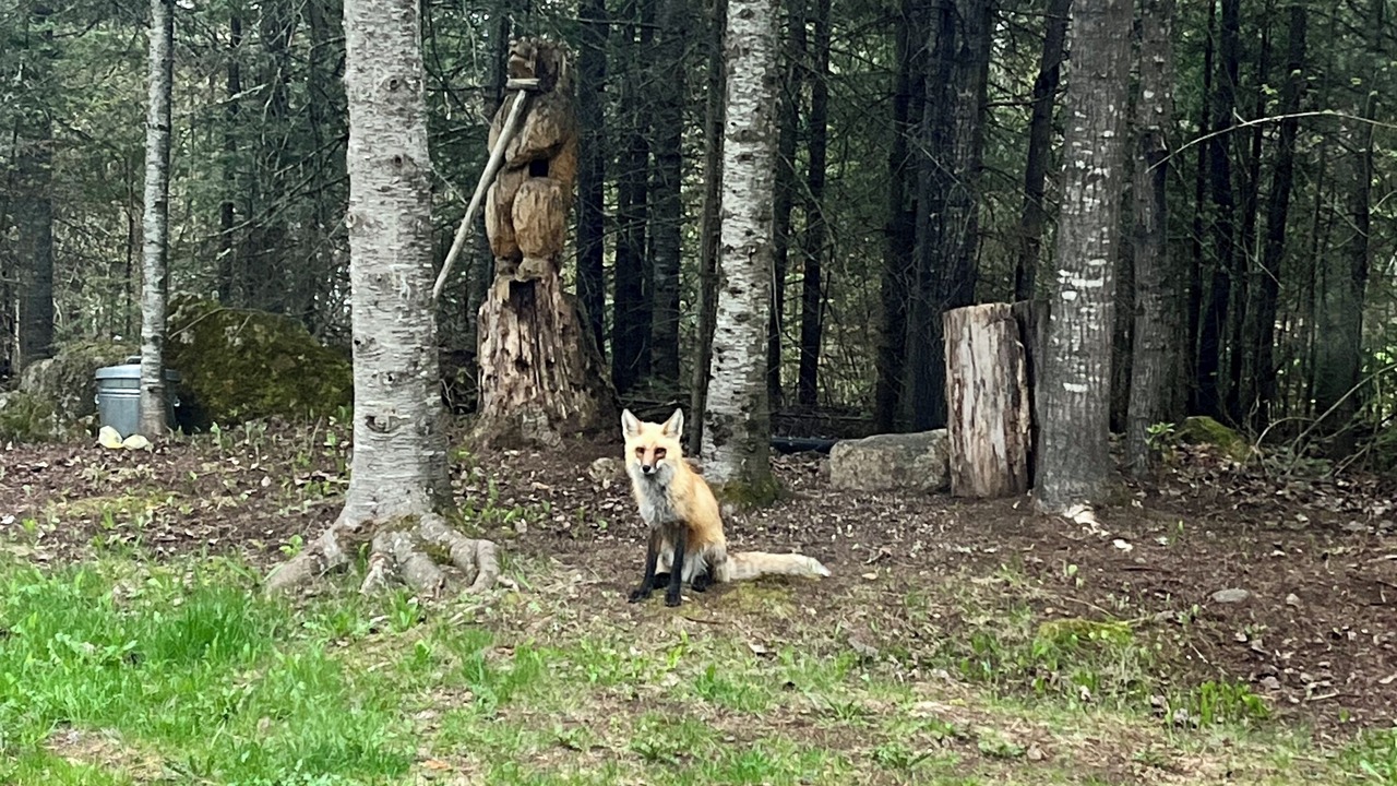Photo of Outdoor in Grand Marais