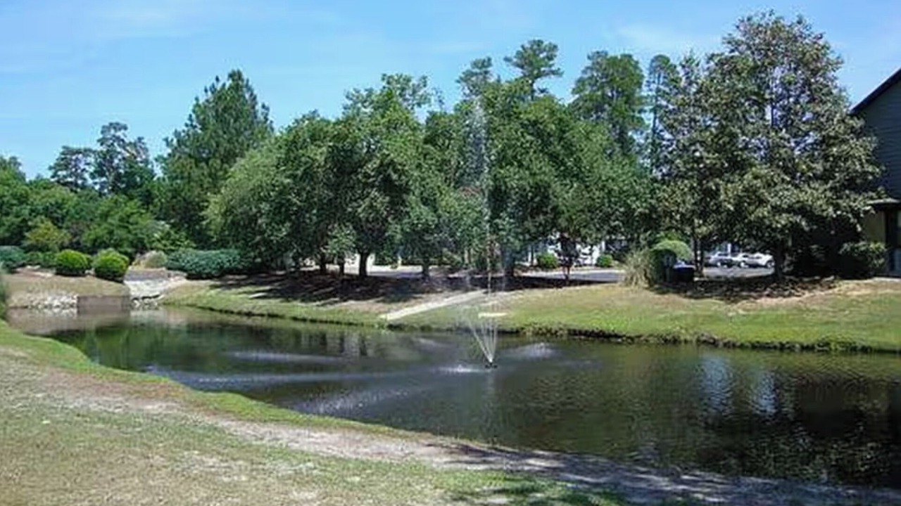 Photo of Outdoor in Martinez