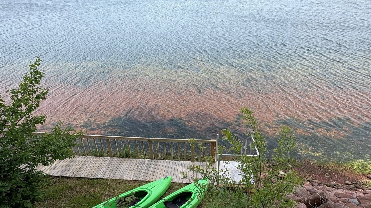 Photo of Others in Mill River East