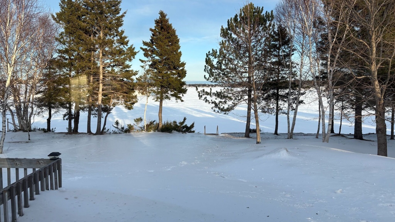Photo of Others in Mill River East