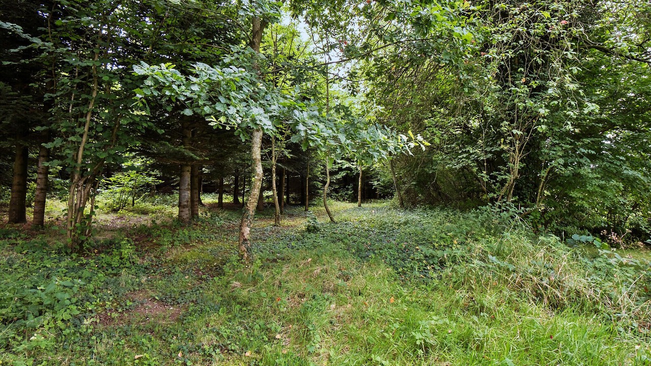 Photo of Others in Varbjerg