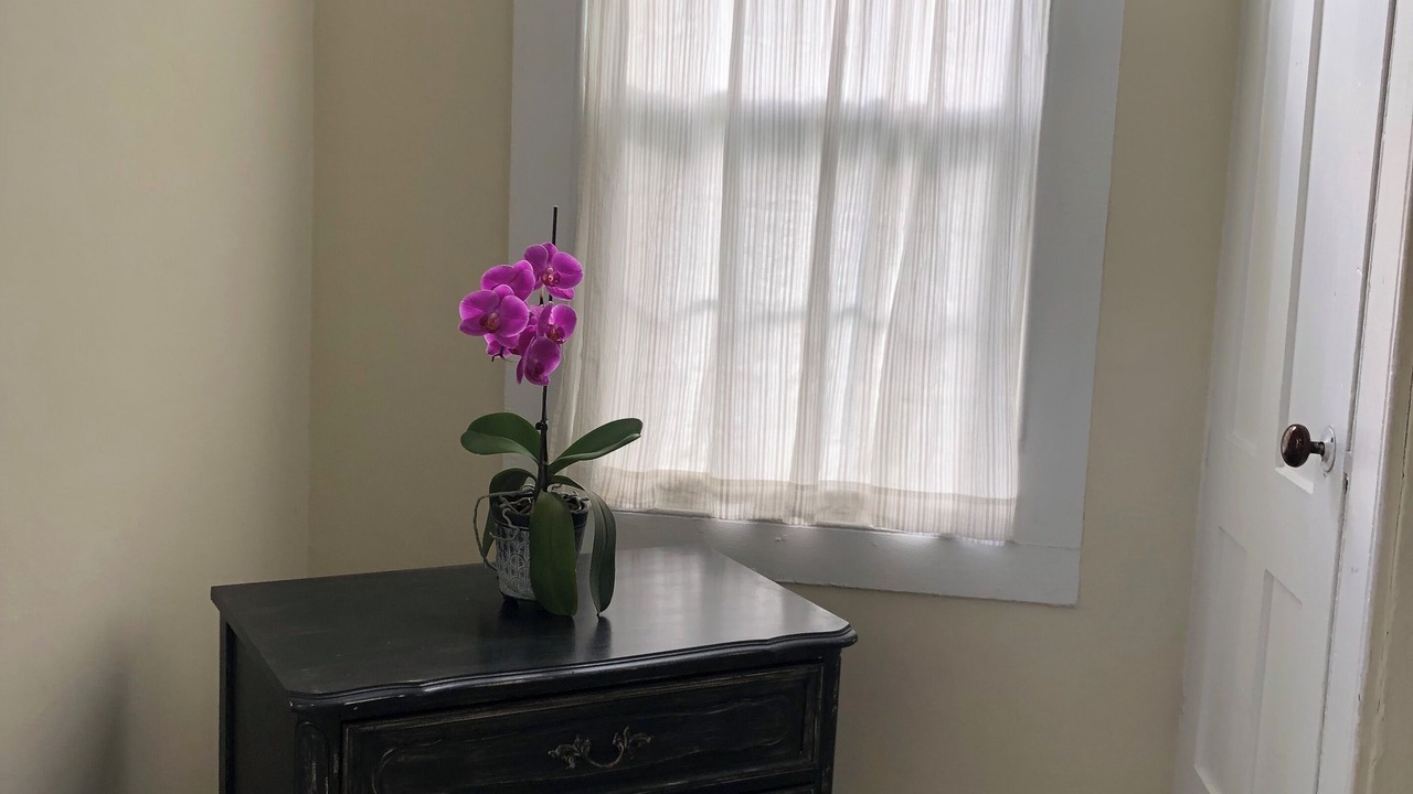 Photo of Others in Clinton