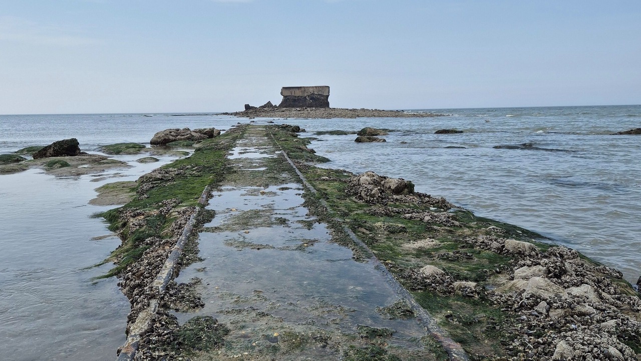 Photo of Others in Le Portel