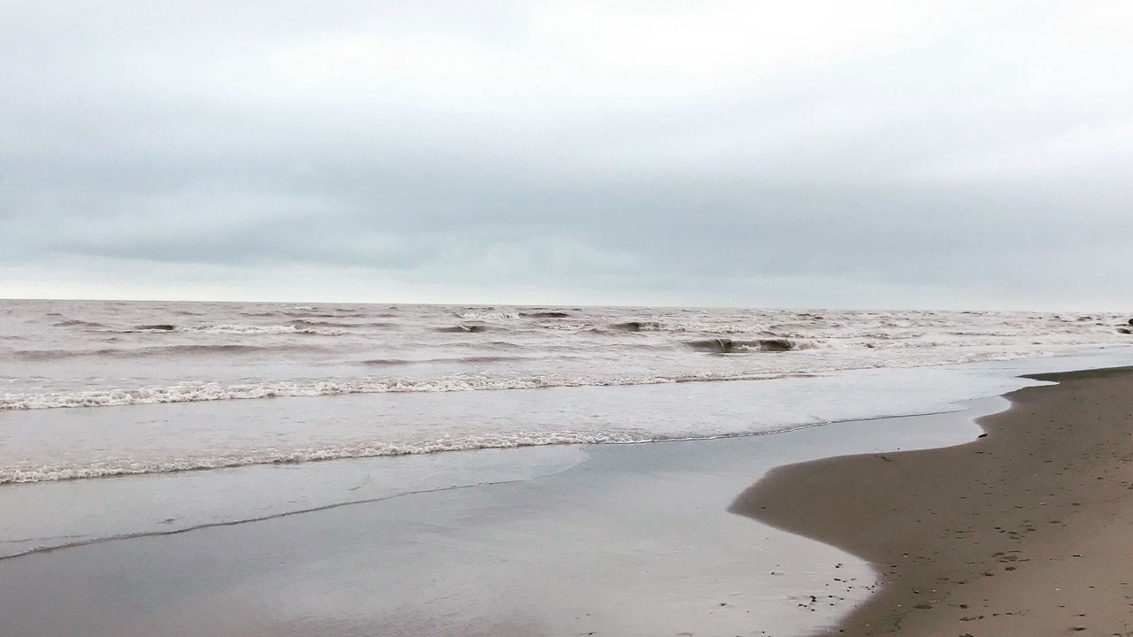 Photo of Others in Long Point