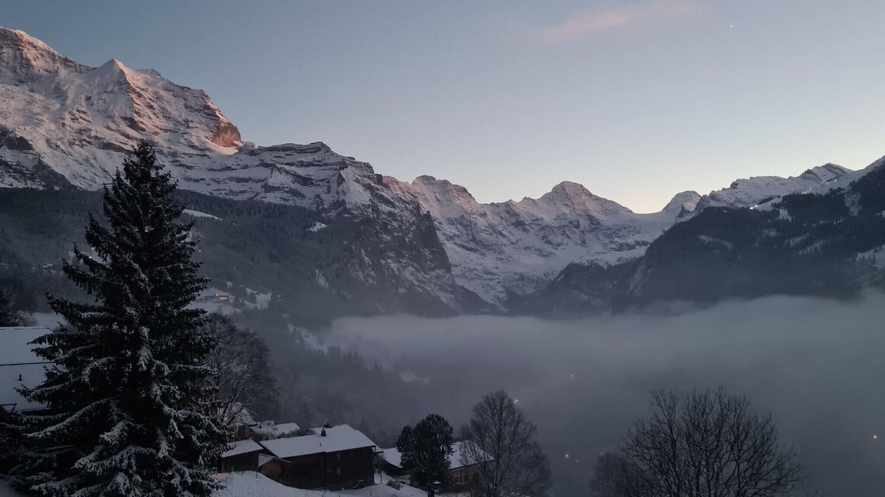 Photo of Others in Wengen