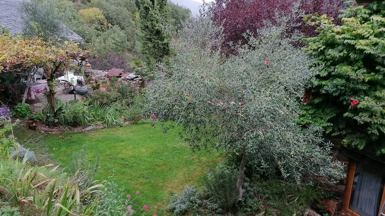 Photo of Outdoor in Broquies