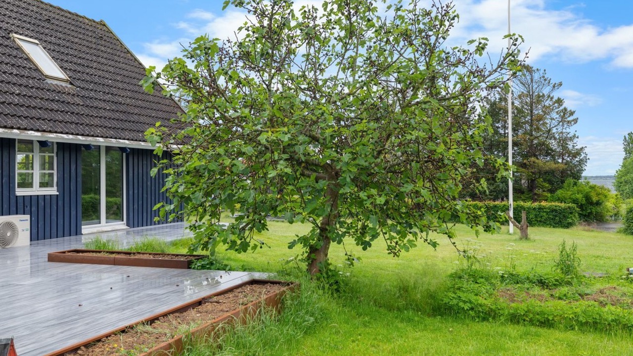 Photo of Others in Svendborg