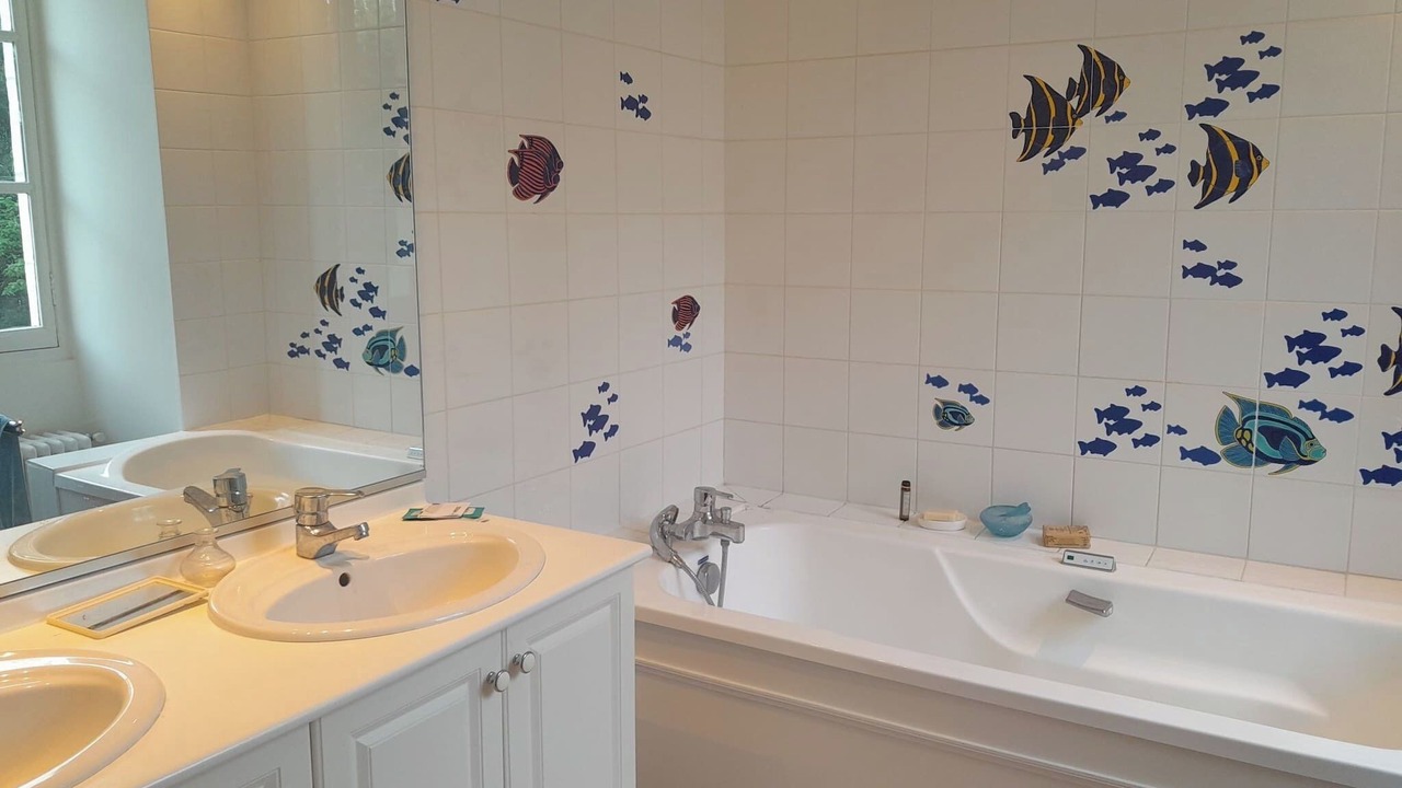 Photo of Bathroom in Meunet-sur-Vatan