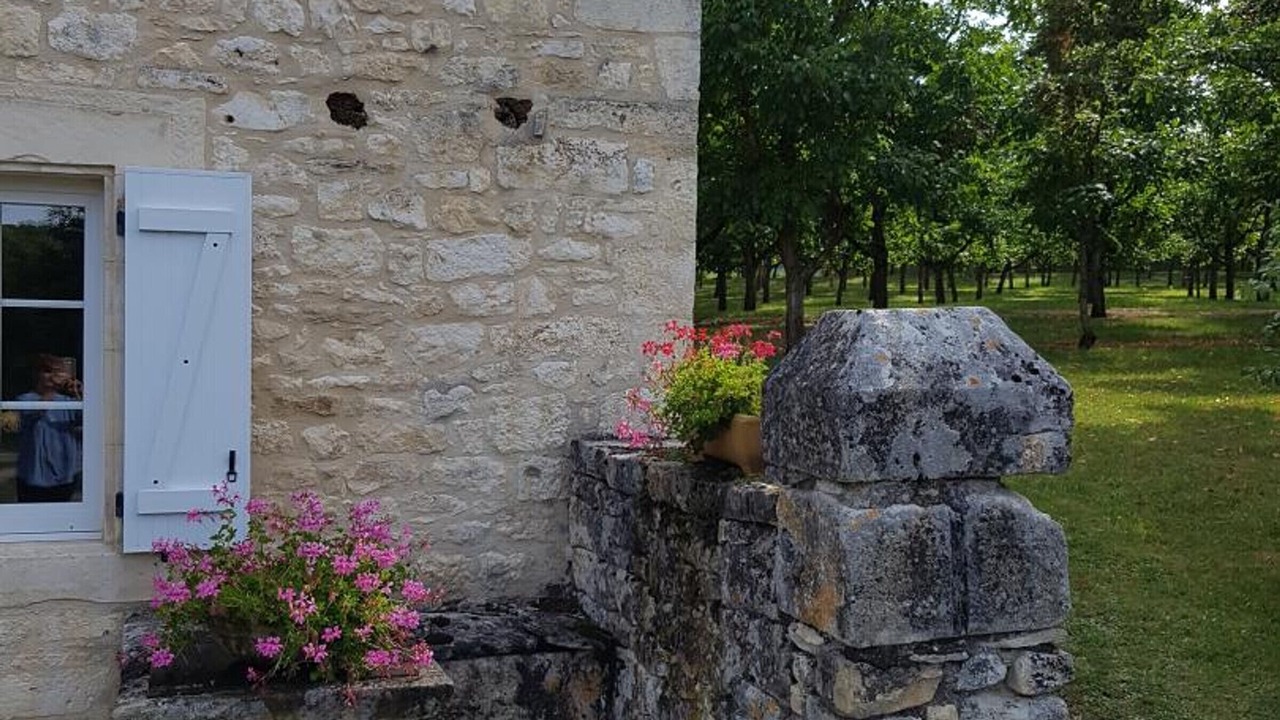 Photo of Outdoor in Jayac