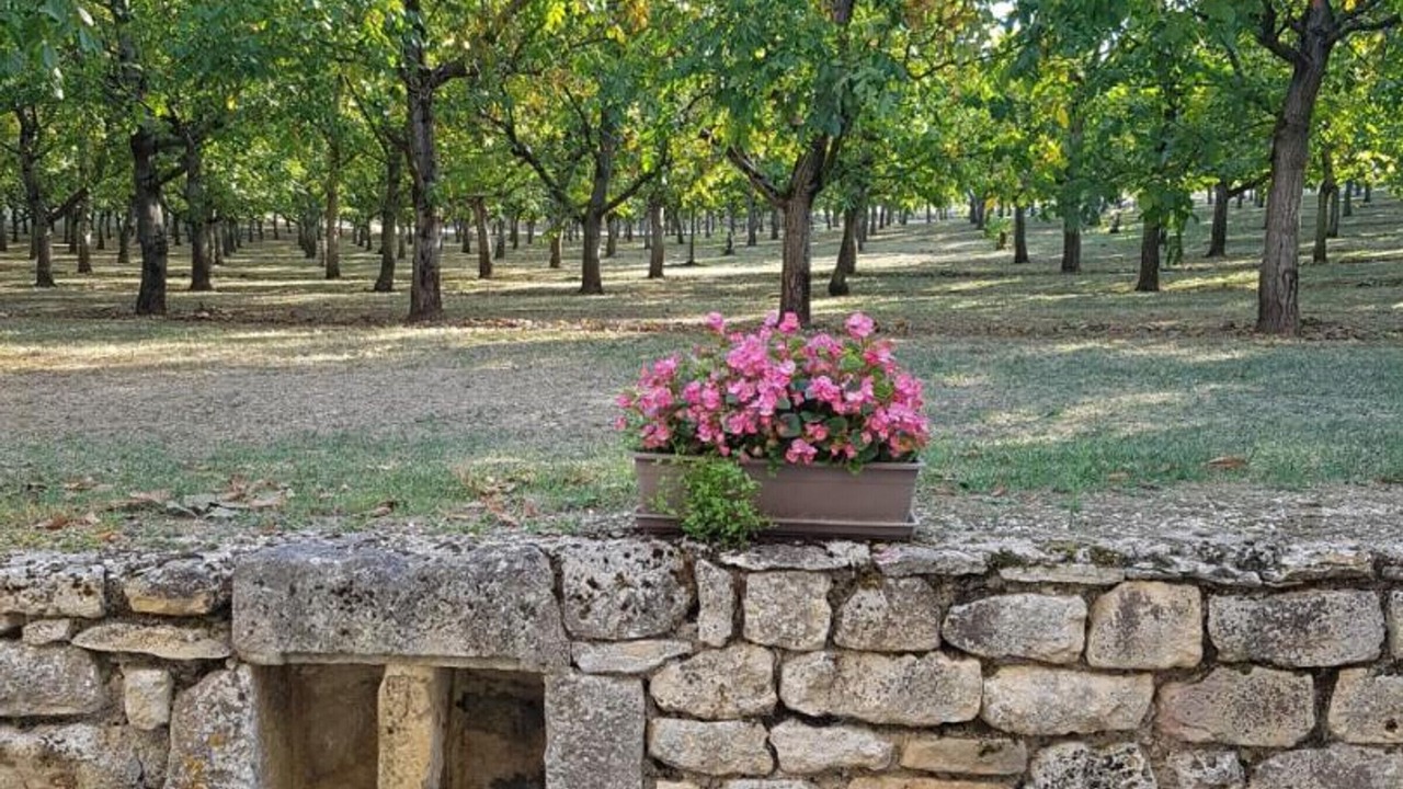 Photo of Outdoor in Jayac