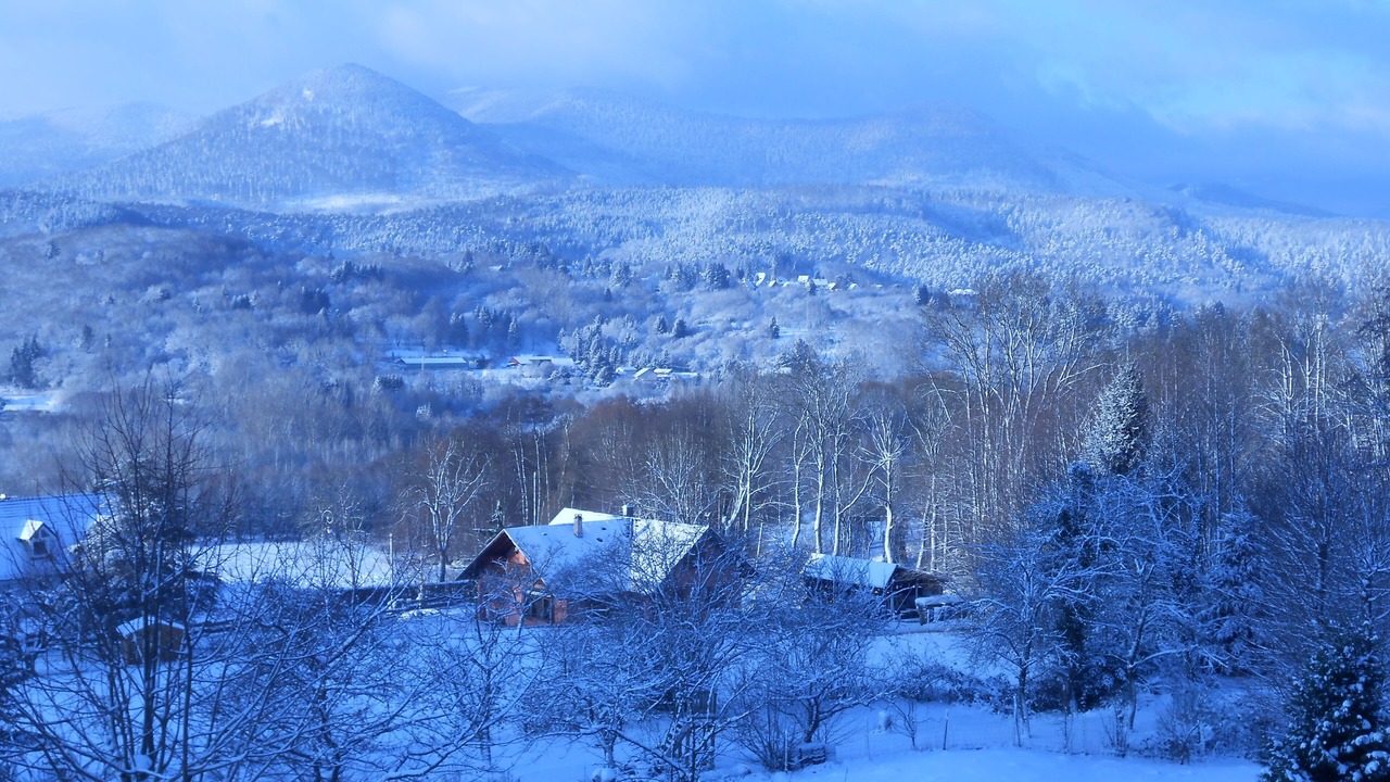 Photo of Others in Russ