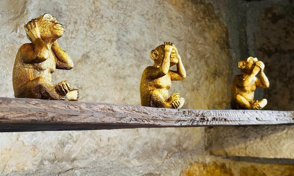 Photo of Others in Villeneuve d'Aveyron