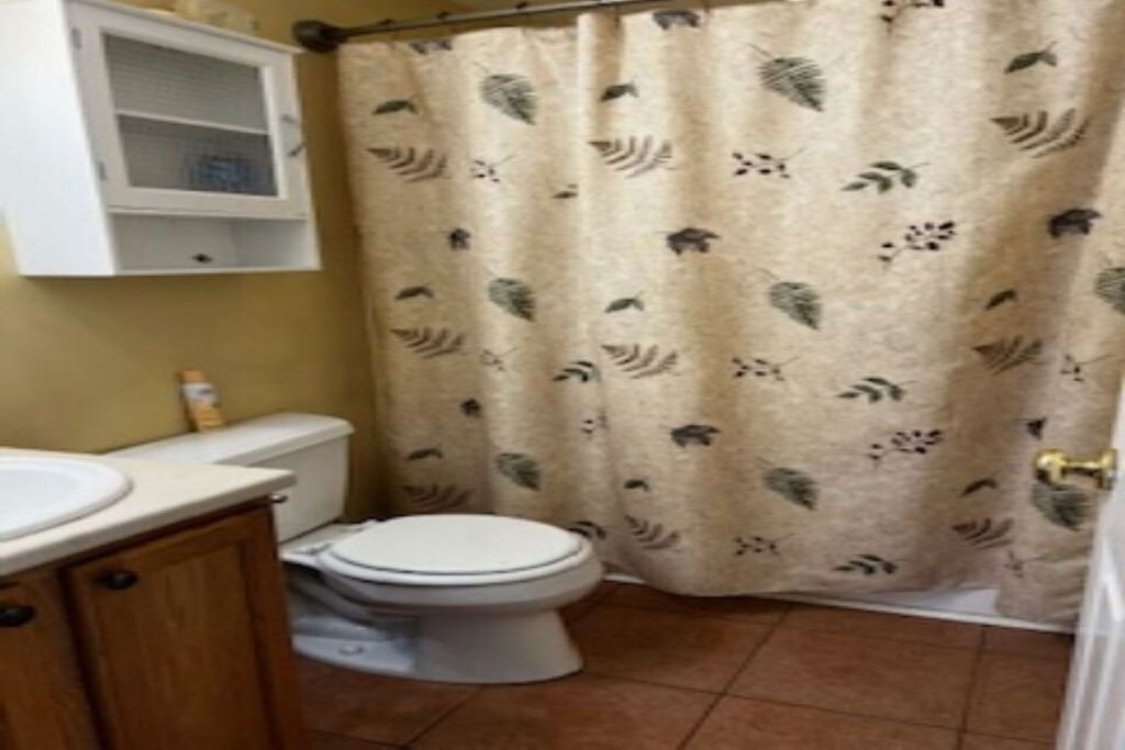 Photo of Others in Malletts Bay