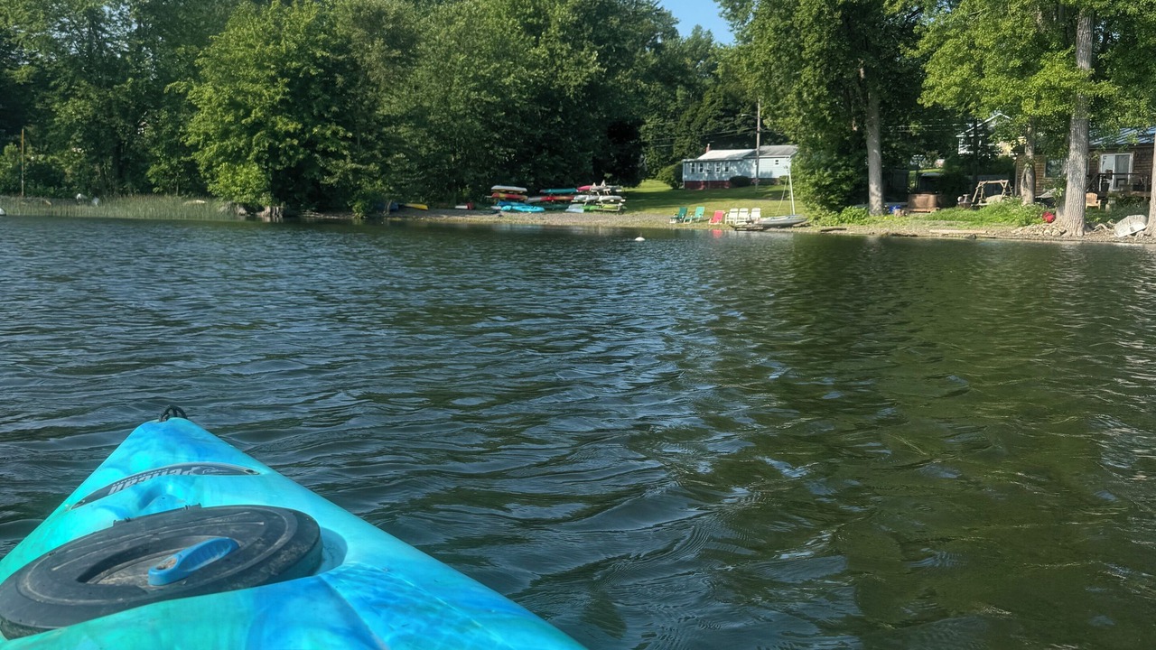 Photo of Others in Malletts Bay