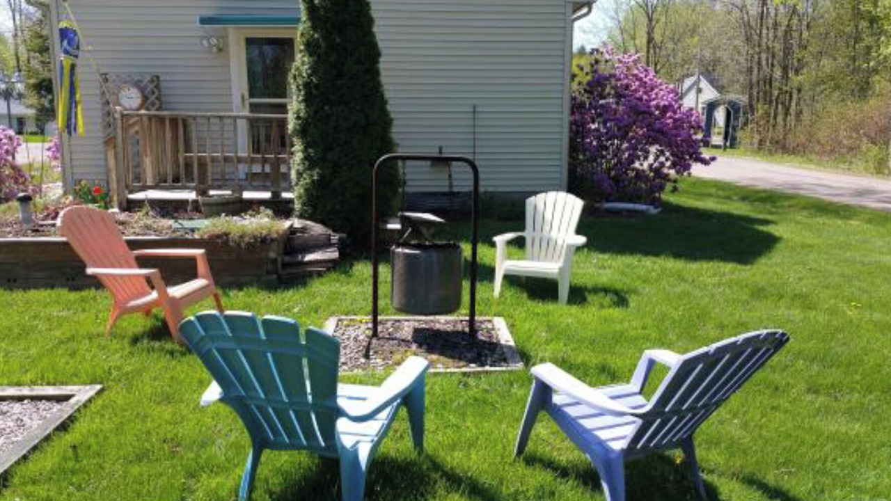 Photo of Others in Malletts Bay