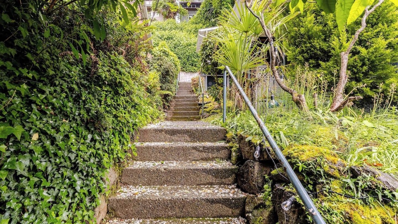 Photo of Outdoor in University District