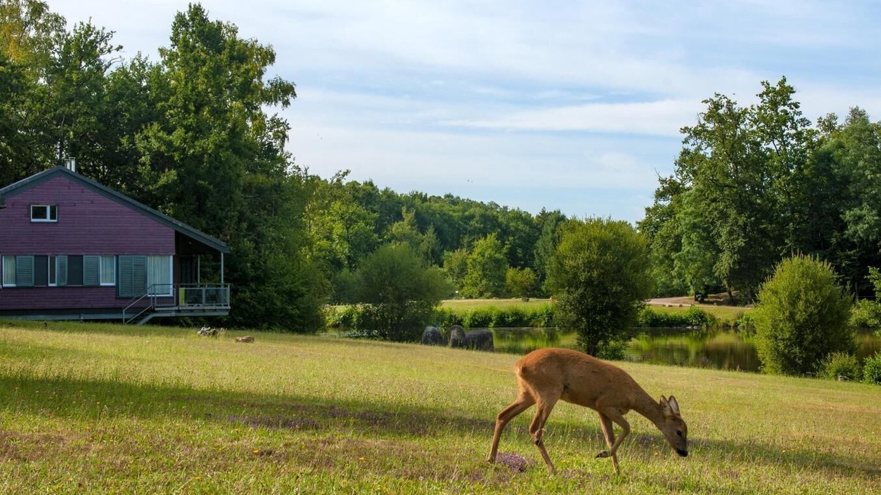 Photo of Outdoor in Nontron