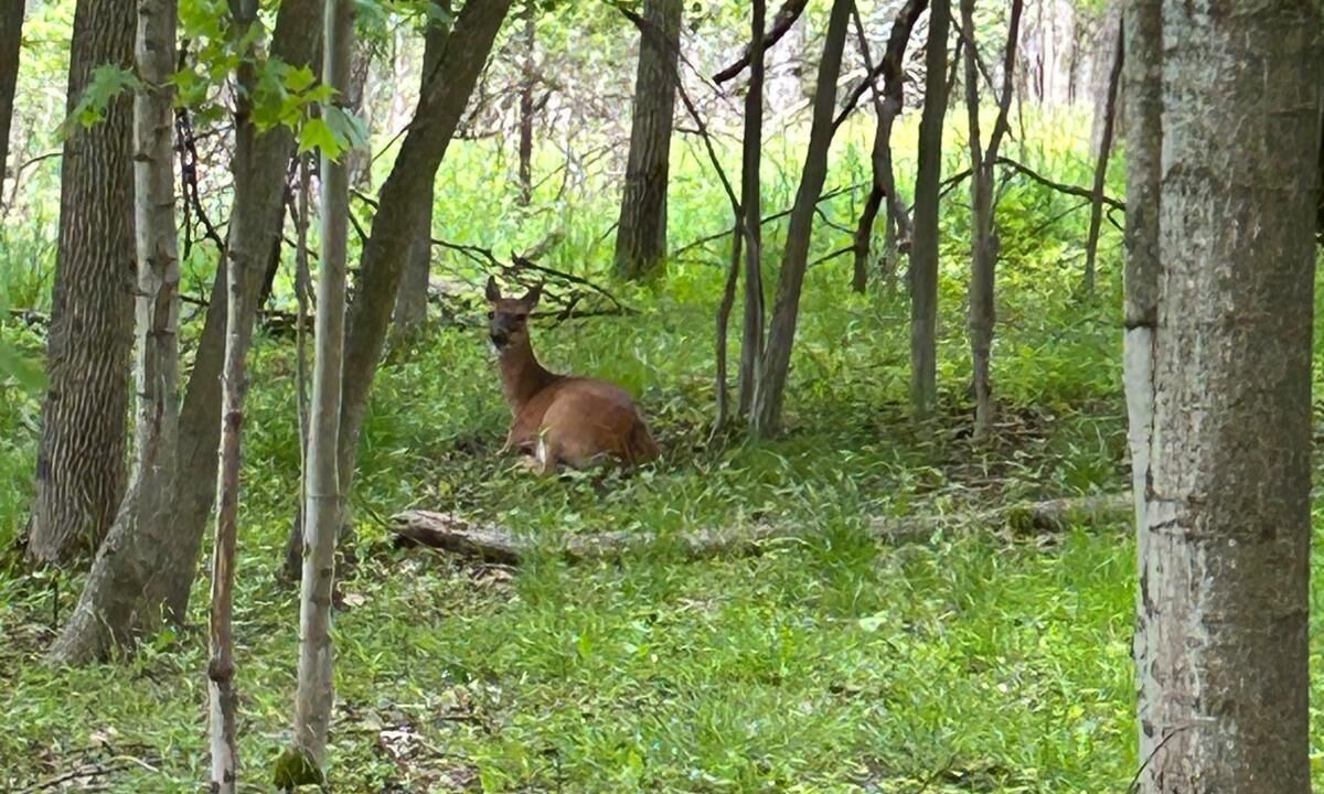 Photo of Others in Alfred