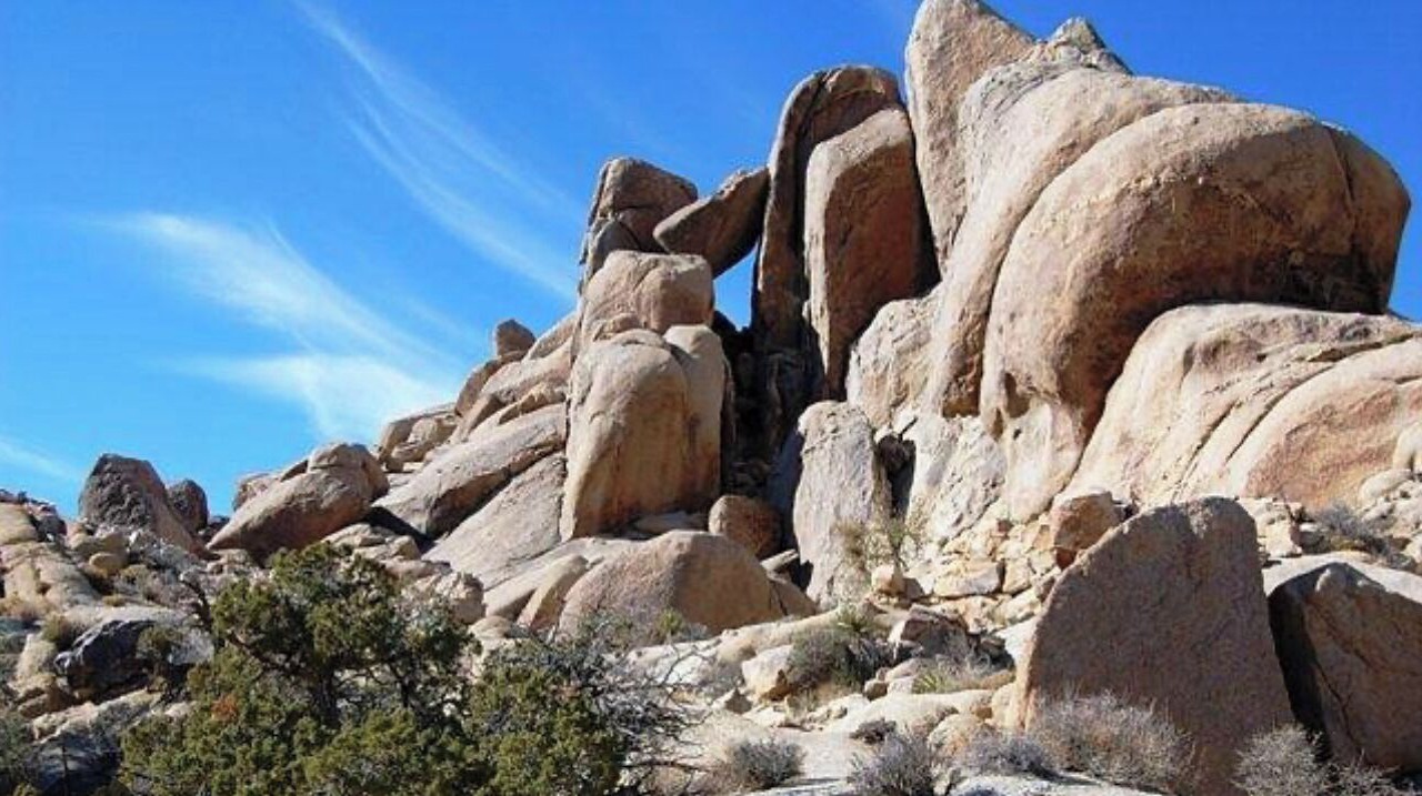 Photo of Others in Yucca Valley