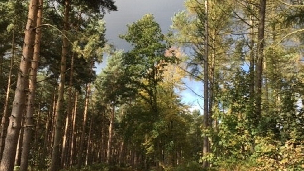 Photo of Others in Ryther