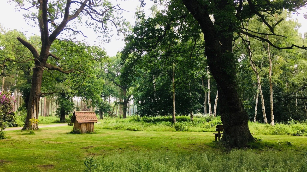 Photo of Others in Ryther