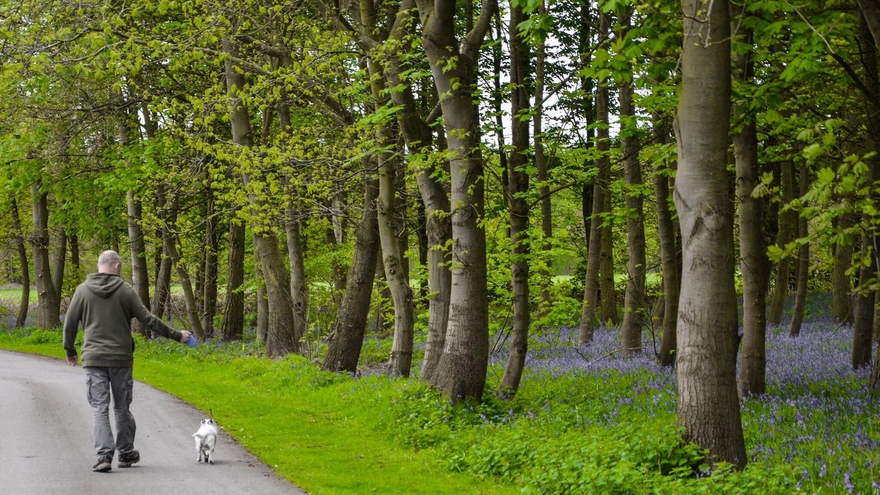 Photo of Others in Ryther