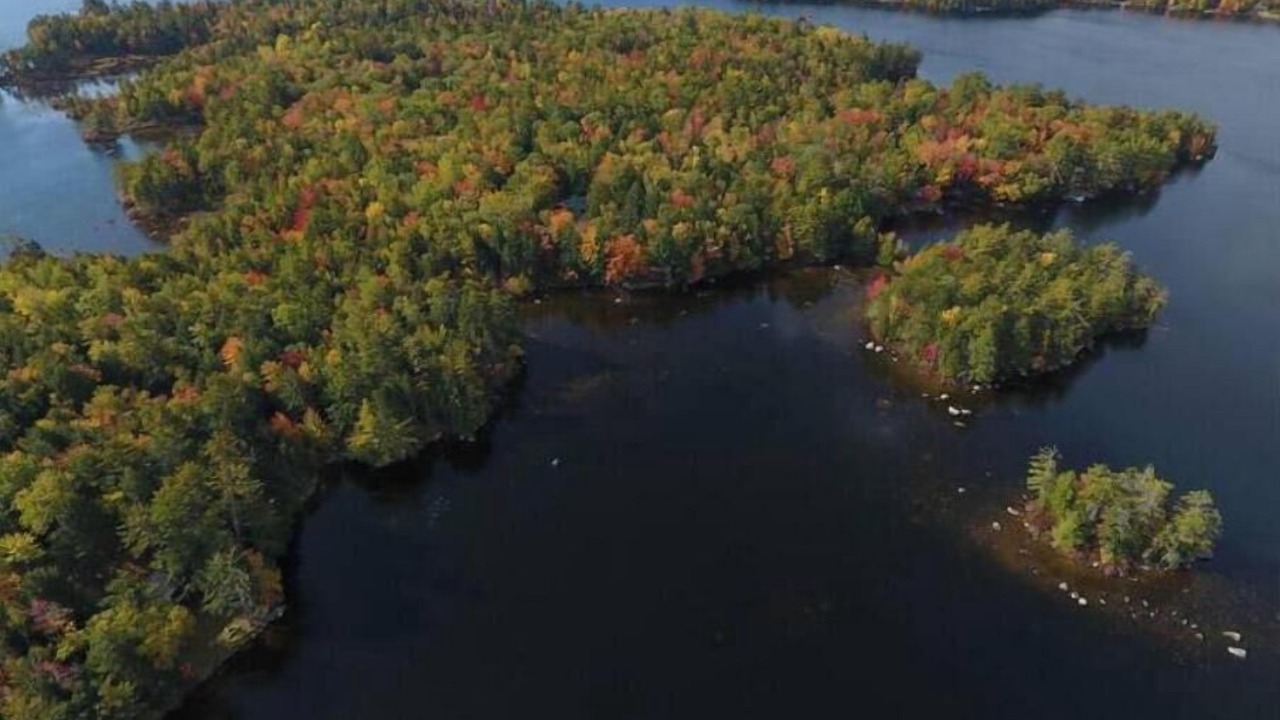 Photo of Outdoor in Surry