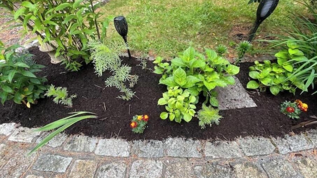 Photo of Outdoor in Surry