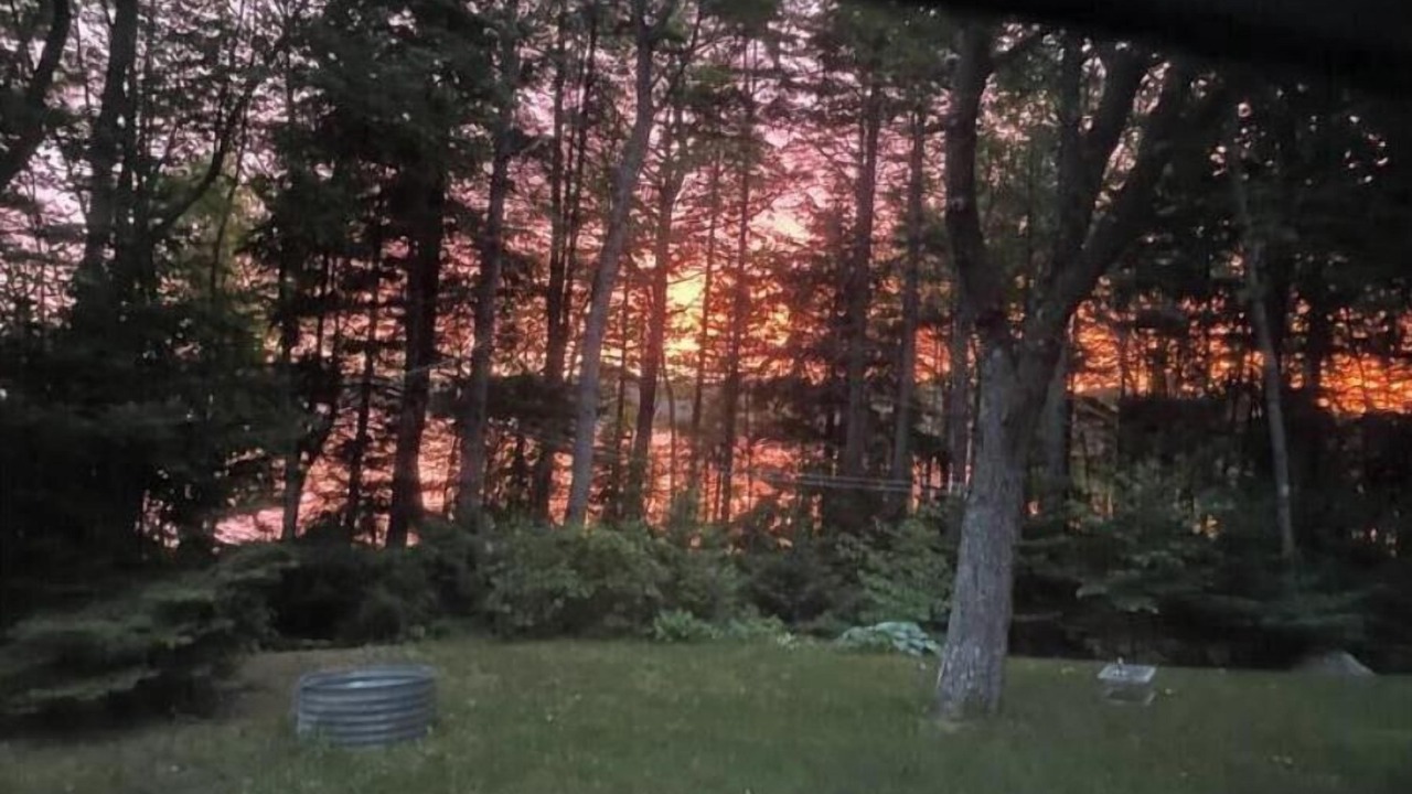 Photo of Others in Surry