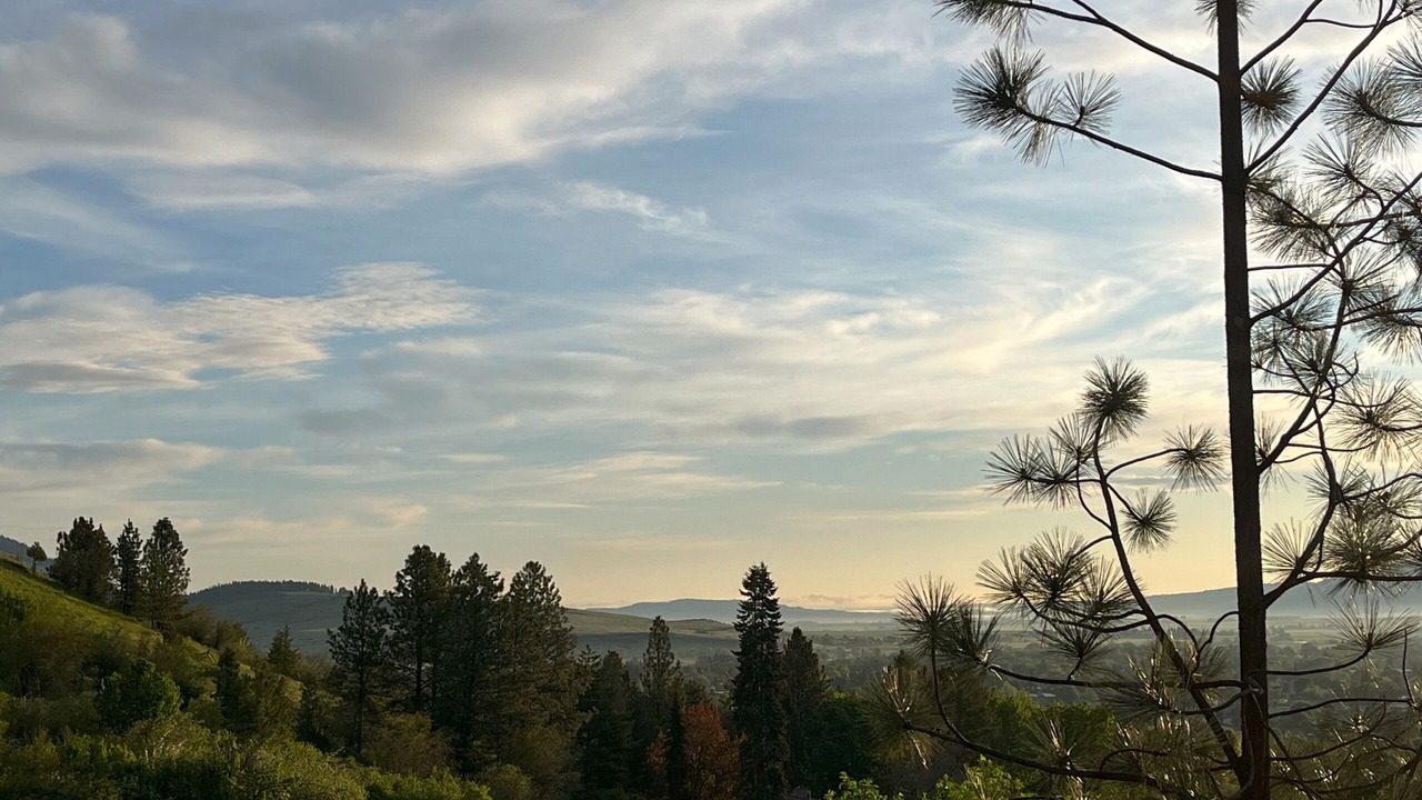 Photo of Others in La Grande