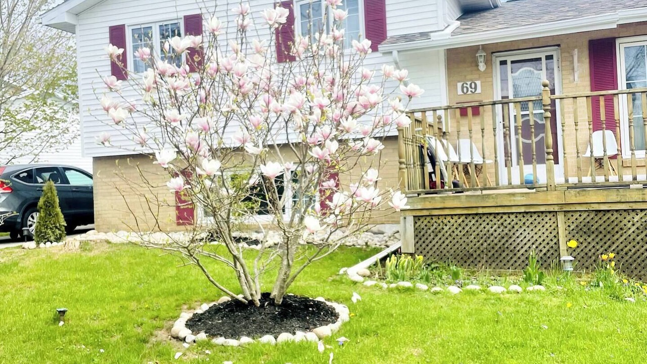 Photo of Outdoor in Lower Sackville