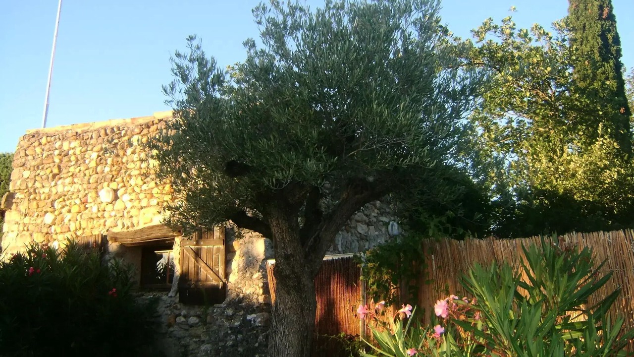 Photo of Outdoor in Rochegude
