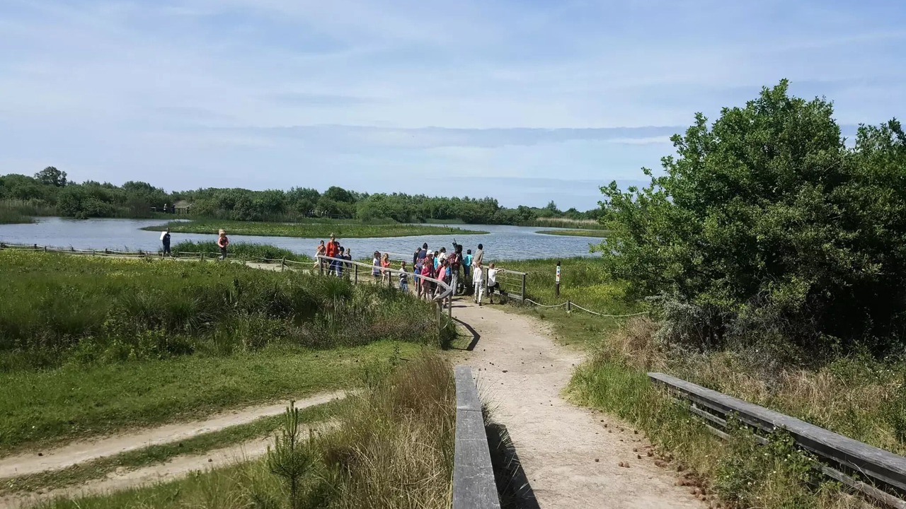 Photo of Others in Bouttencourt