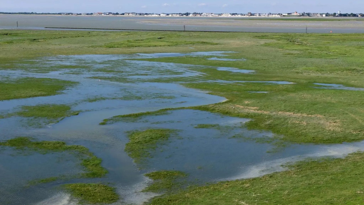 Photo of Others in Bouttencourt