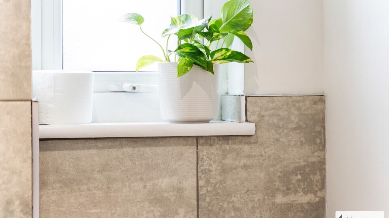 Photo of Others in Kettering