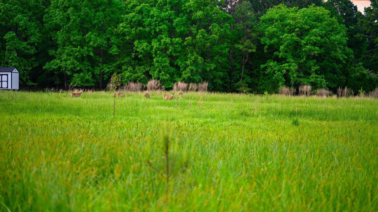 Photo of Others in Broken Bow