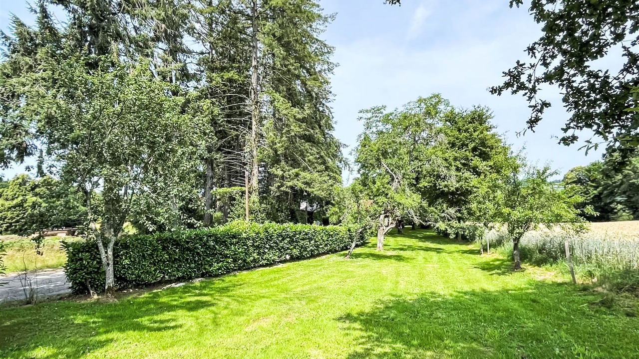 Photo of Outdoor in Moissannes