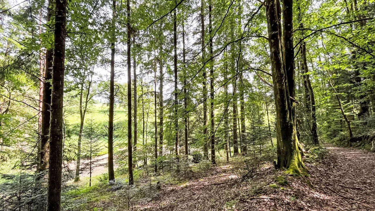 Photo of Outdoor in Moissannes