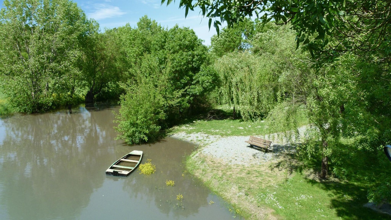 Photo of Others in Egry